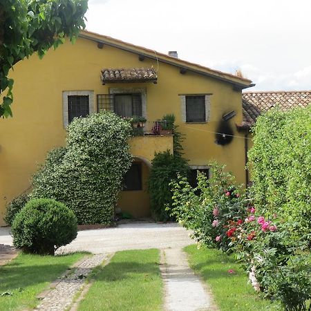Il Gelso Nero Villa Castelnuovo di Farfa Екстериор снимка